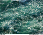 Emerald Sea Crewneck