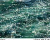 Emerald Sea Crewneck