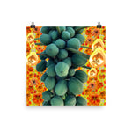 Papaya Blossom Poster