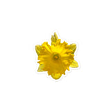 Wild Daffodil Stickers