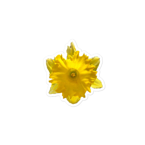 Wild Daffodil Stickers