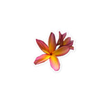 Plumeria Stickers