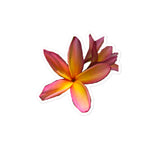 Plumeria Stickers