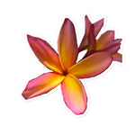 Plumeria Stickers