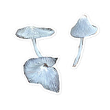 Mushroom Stickers