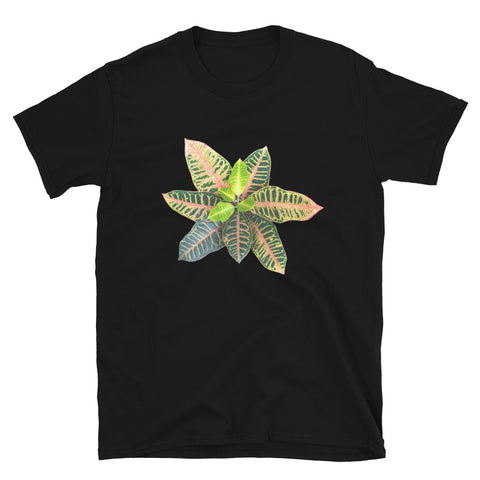 Croton T-Shirt