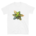Croton T-Shirt