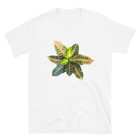 Croton T-Shirt