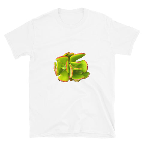 Jade T-Shirt