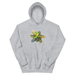 Croton Hoodie