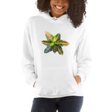 Croton Hoodie